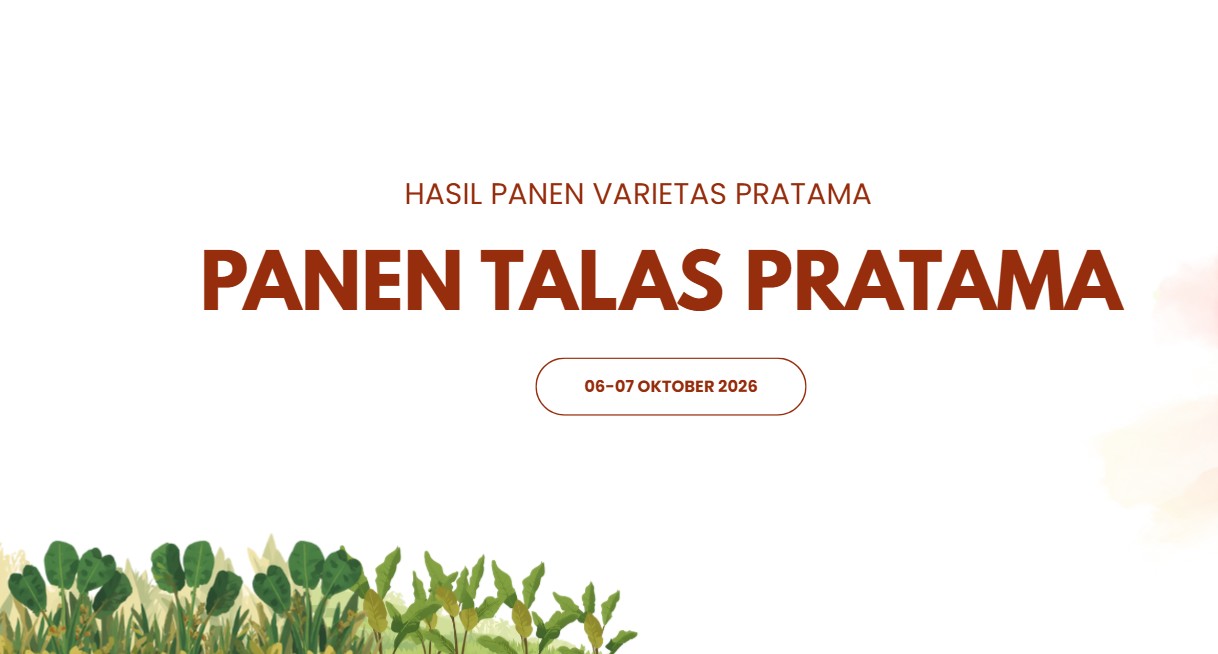 🌾 Musim Panen Talas